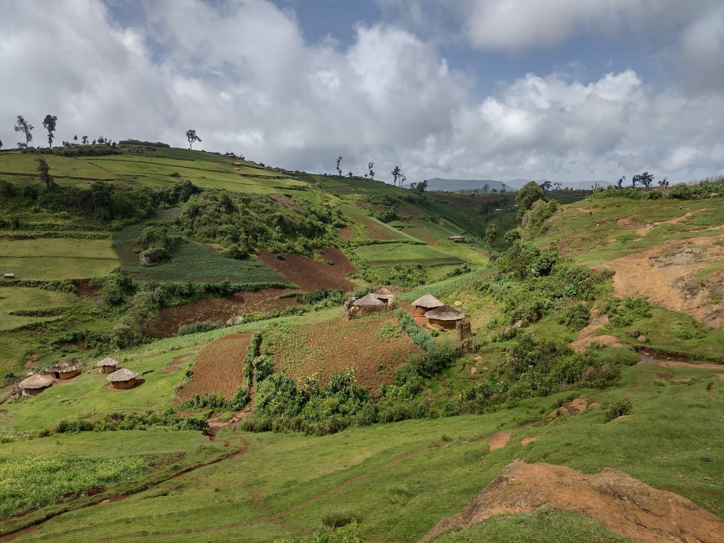 hikes-best-elgon-uganda-1759499309231.jpg