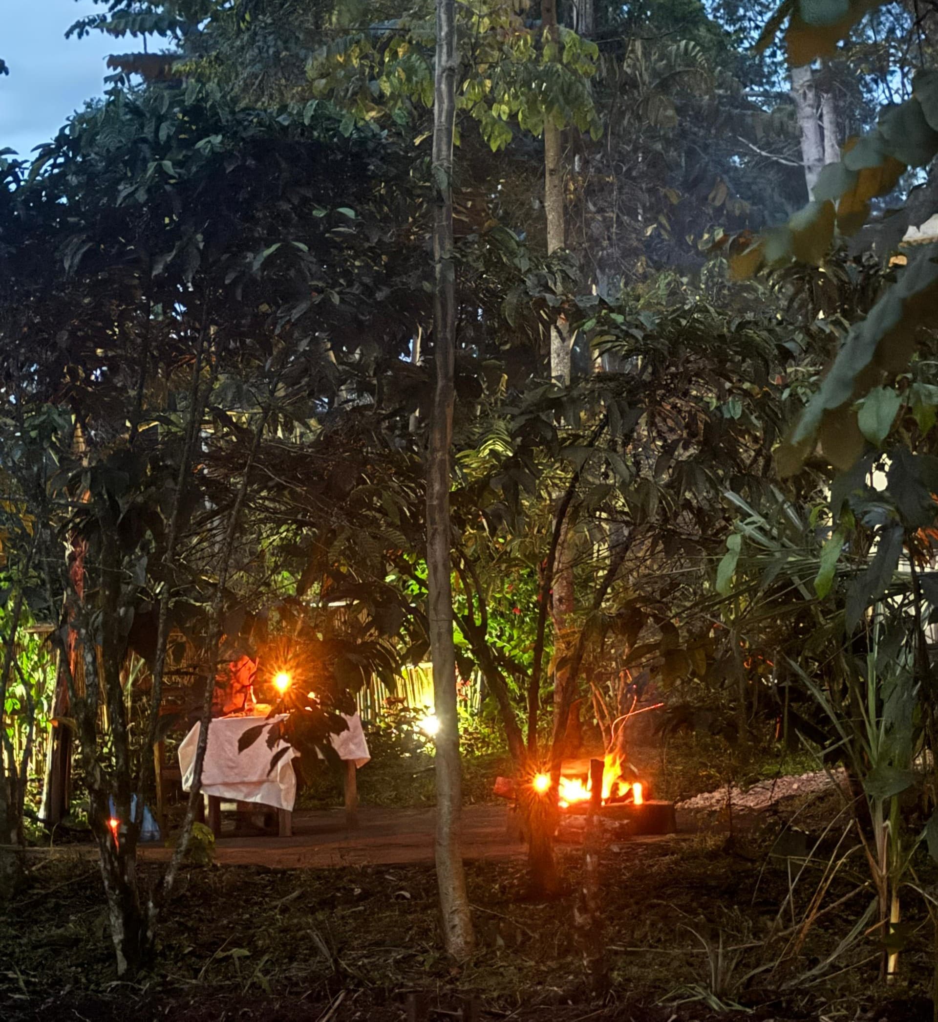 Little Monkey-1760864222275.jpg