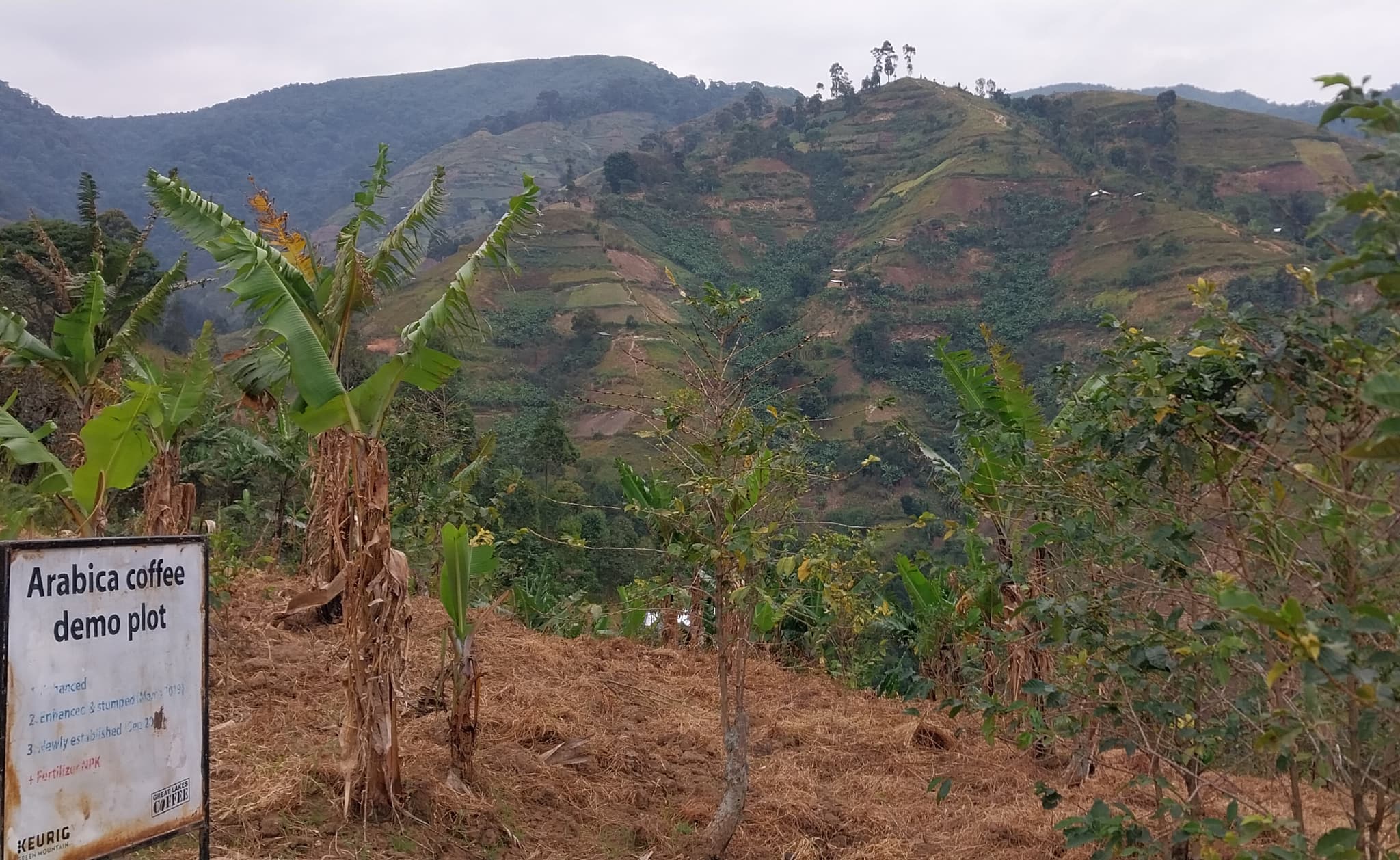 The Karangura Peak Quest: One-Day Summit Challenge