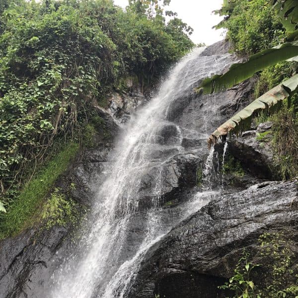 One-Day Rwenzori Eco-Hike: Foothills & Fortune at Karangura Eco-Camp