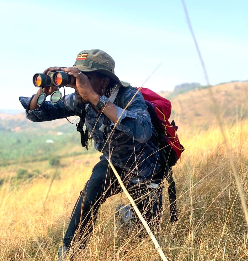 Wings of Ankole: An Authentic Birding Experience at Rwetango Tourism Centre