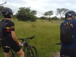 Rwentango re upload-1765641355033.webp