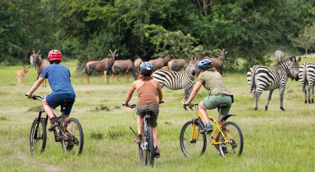 The "Ankole Wheels": A Community and Biking Safari through Lake Mburo National Park