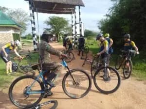 rwentango re upload 2-1765641287623.webp