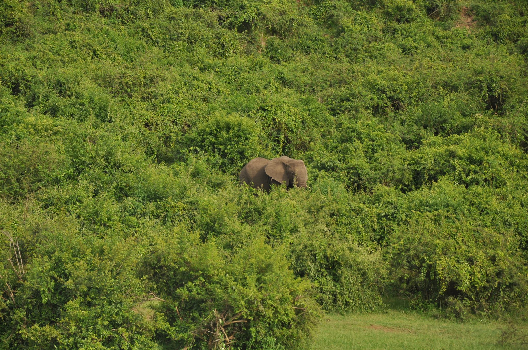 DSC_0427-1775254786243.JPG