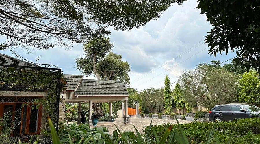 ibanga 1-1762007736646.jpg