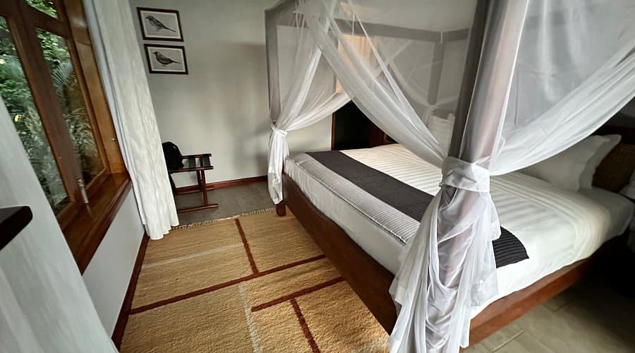 ibanga 5-1762007736647.jpg