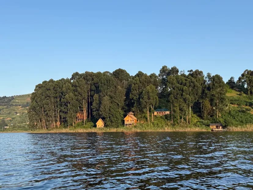 bunyonyi-1763633379279.webp