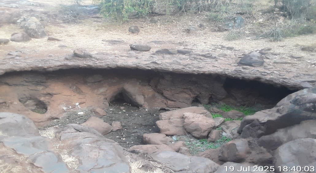 Nyamiryango Royal Well-1763816835050.jpg