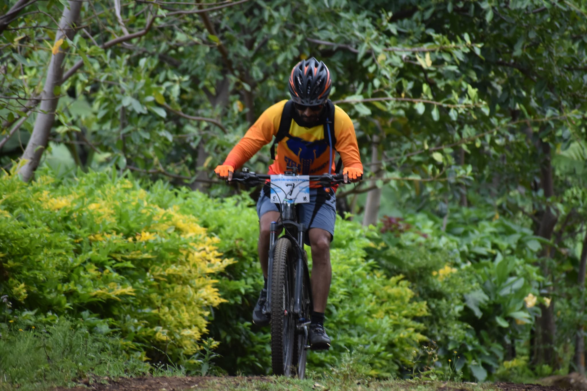 DSC_0141-1764160715759.JPG