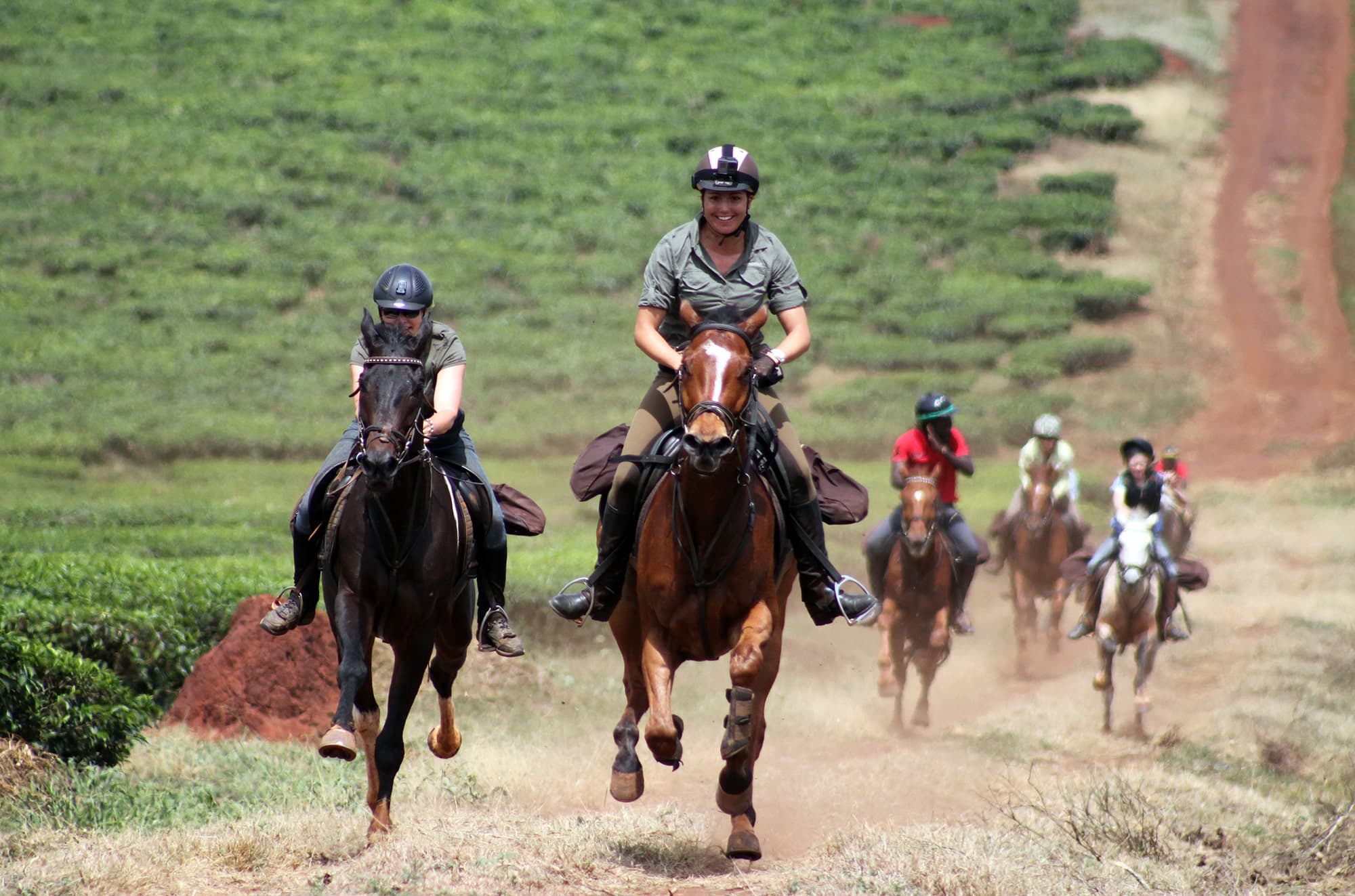 Horseback Riding Guided Tour 