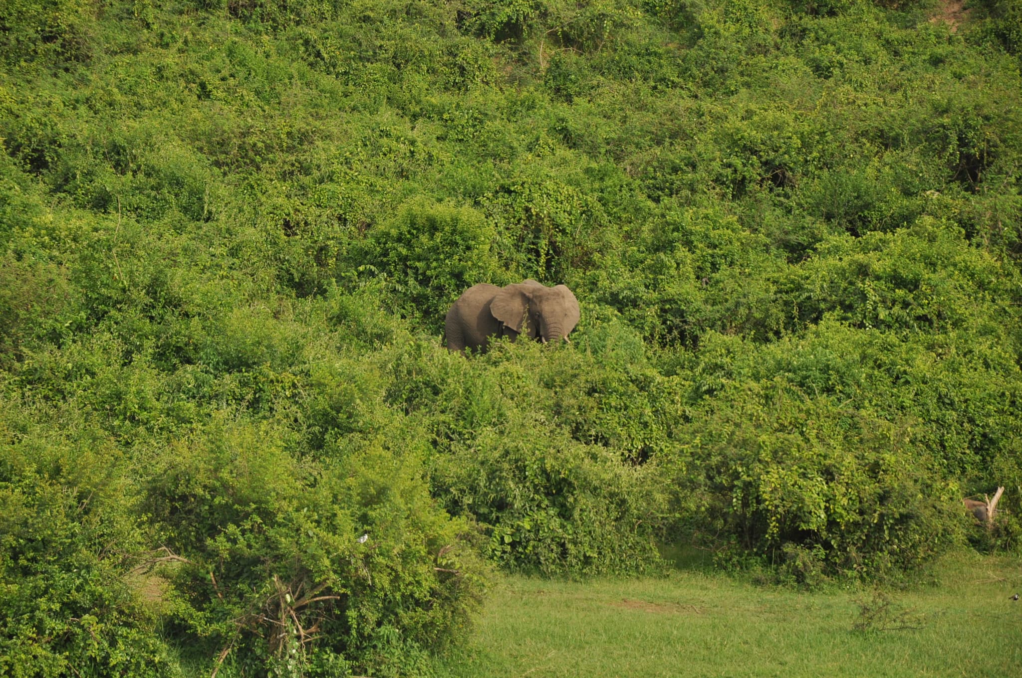 DSC_0426-1775255116027.JPG