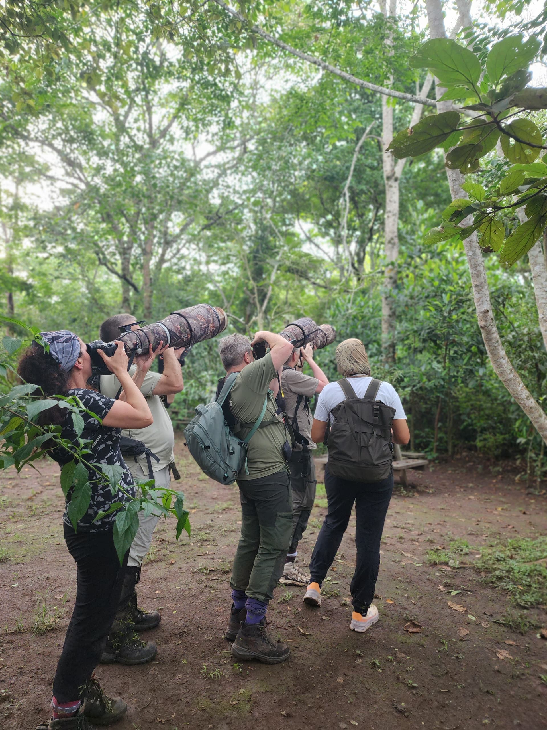 2-Day Bigodi Swamp Walk & Community Cultural Experience