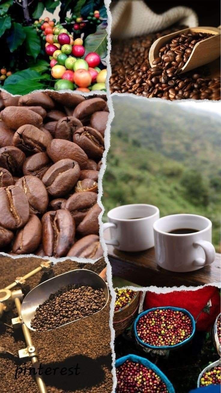 COFFEE EXPERIENCE 