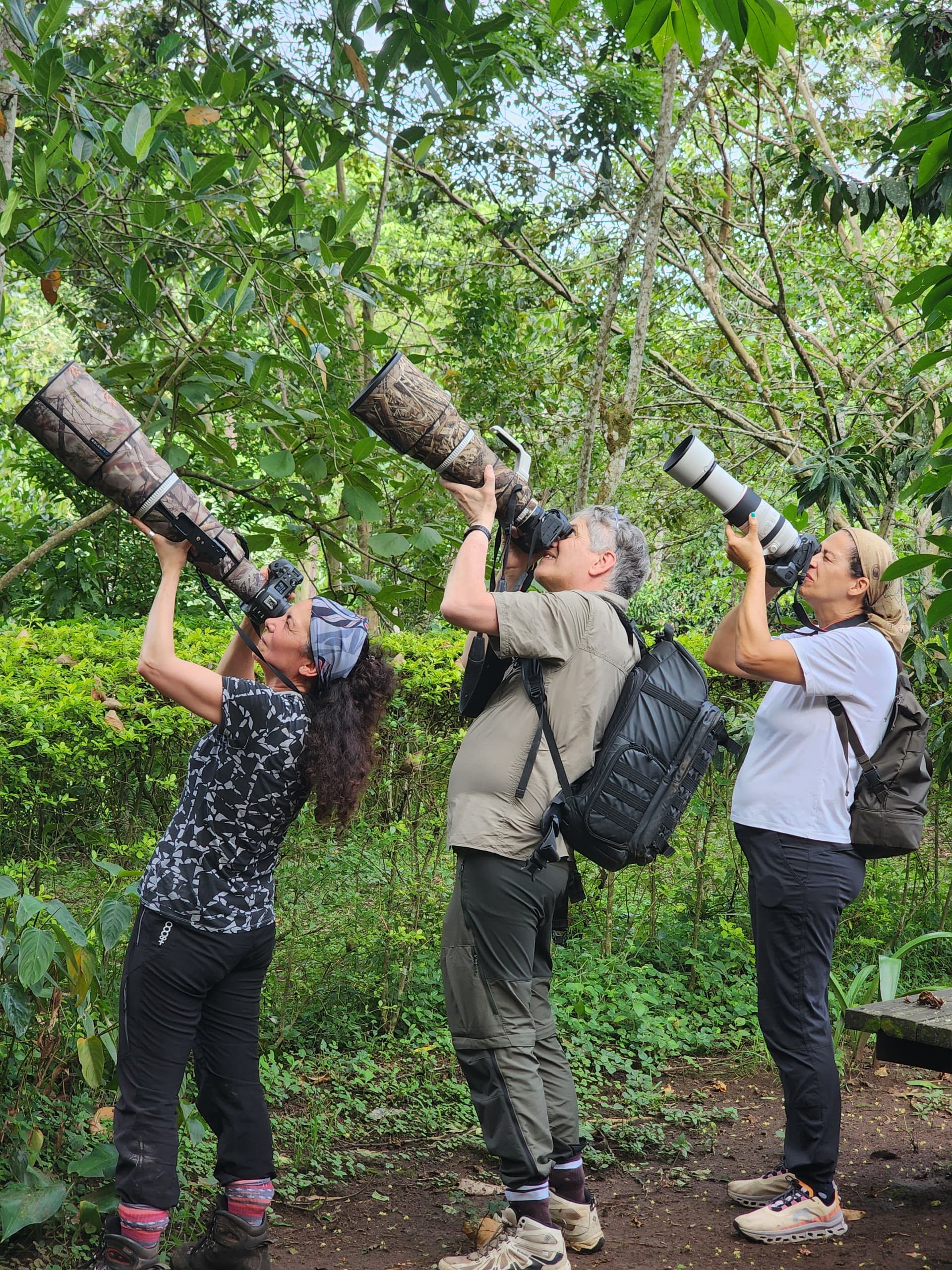 4-Day Bigodi Community Adventure with Chimpanzee Trekking