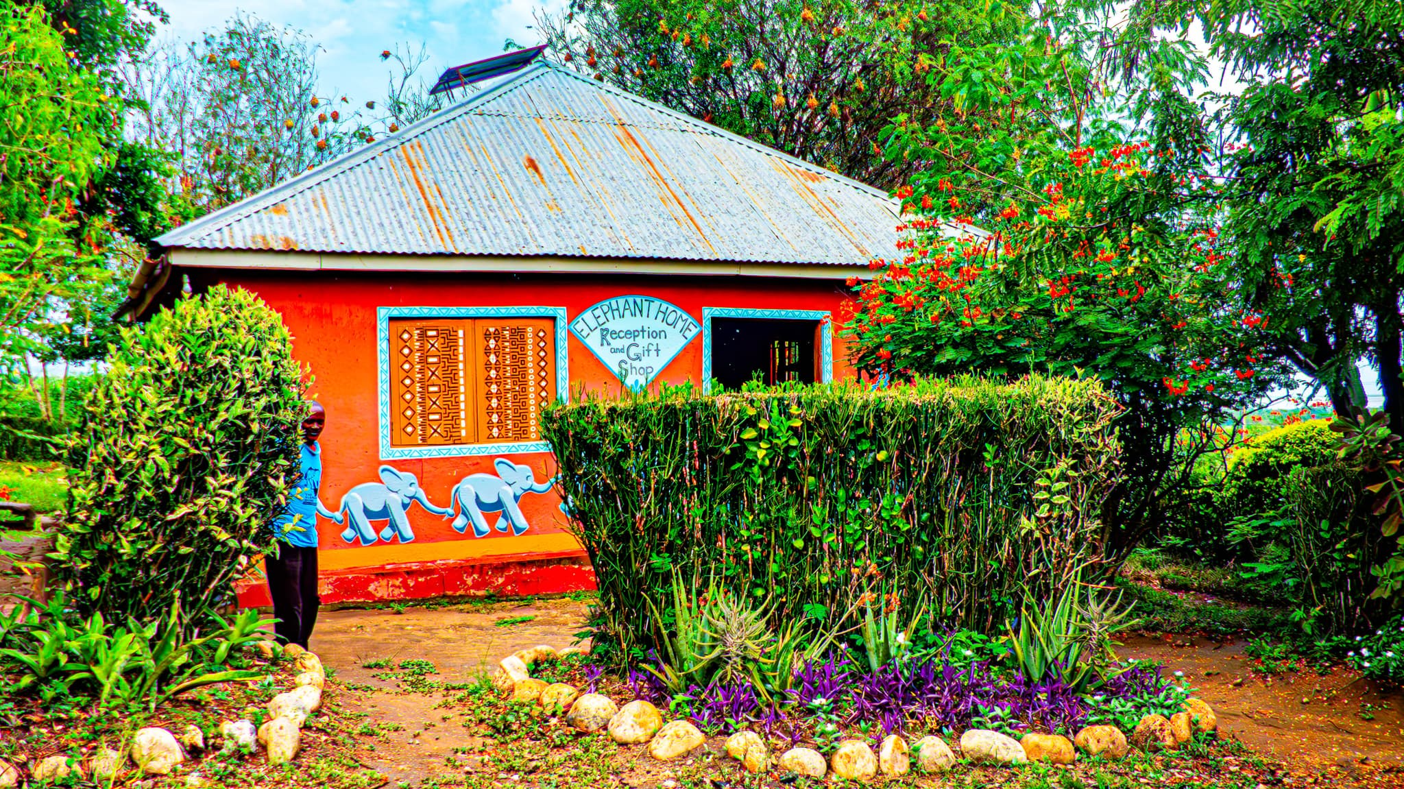 The-Elephant-Home-Resturant32-1775717504615.jpg