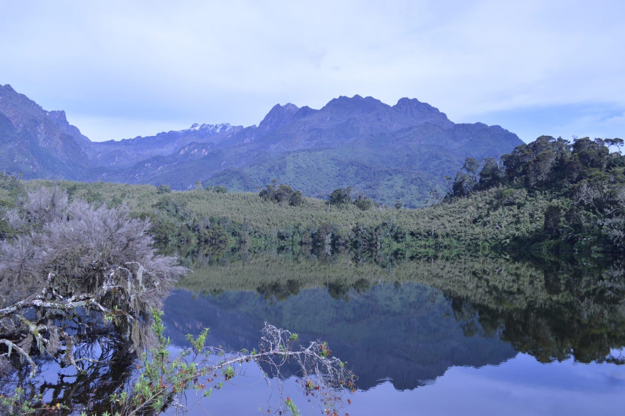 The Whispering Peaks: A 3-Day Journey Through the Rwenzori Foothills