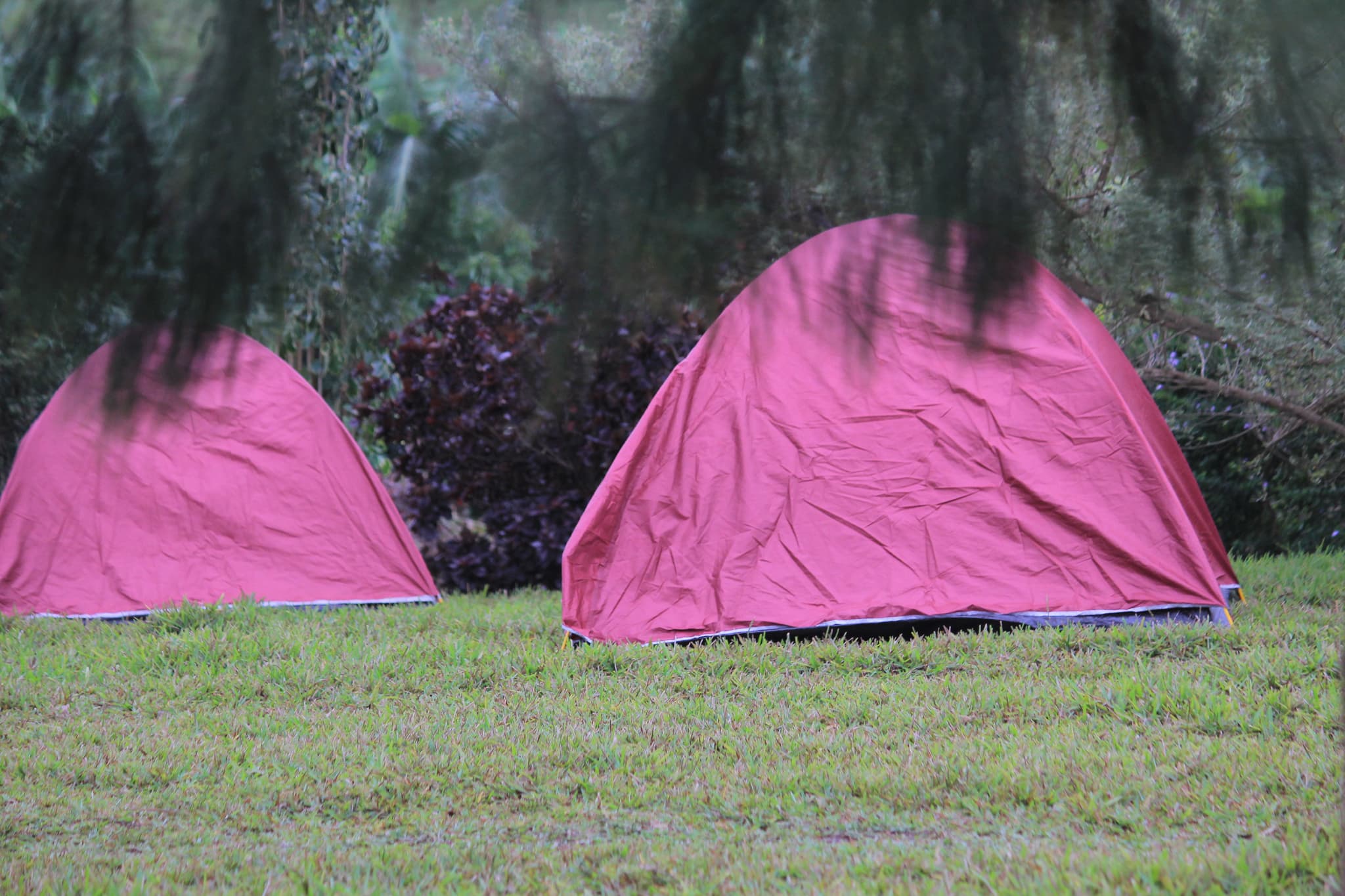 the-campsite-1783450076694.JPG