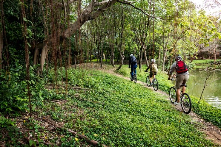 group-friends-ride-mountain-bike-forest-together_53876-23864-1783397756389.jpg