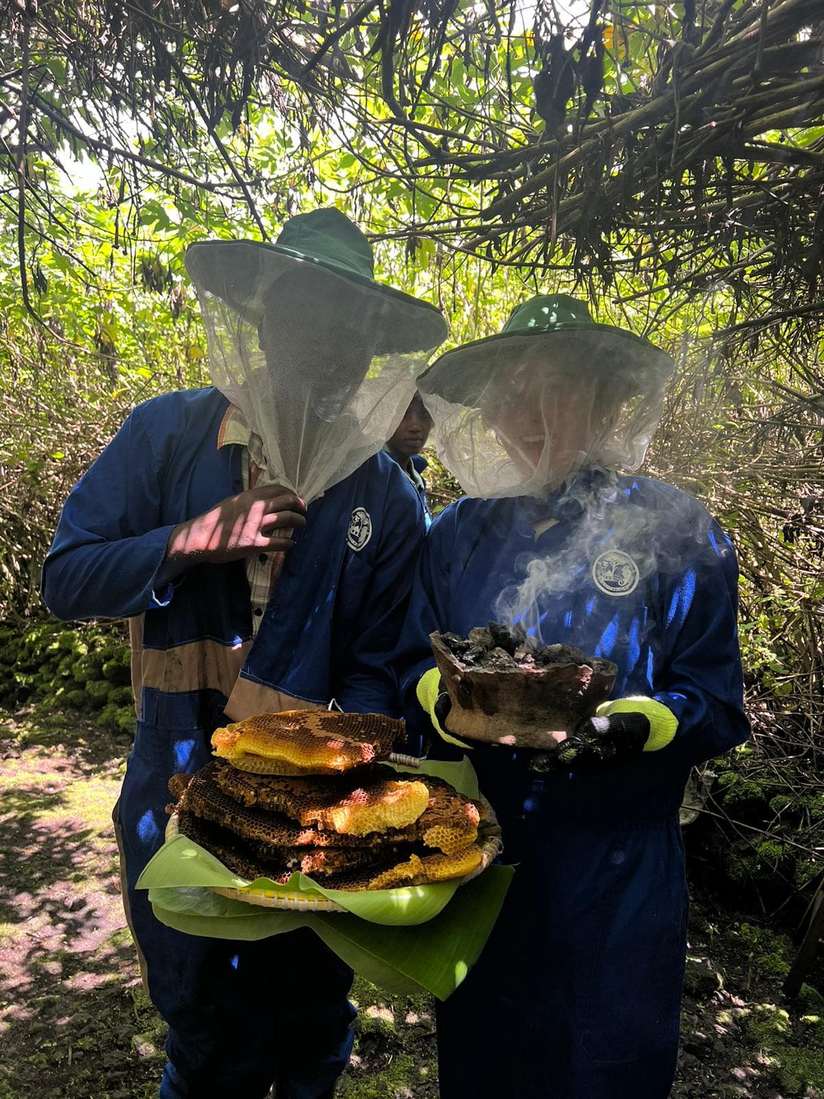 Beekeeping-1769870229120.jpeg