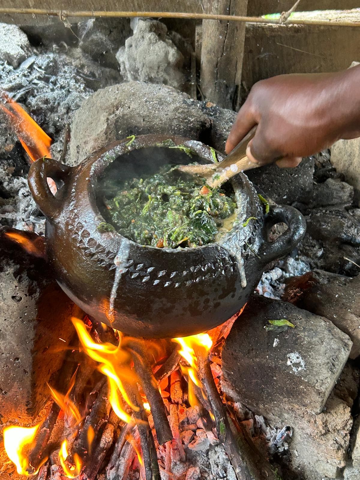 Gastronomy 2-1759312029063.jpg