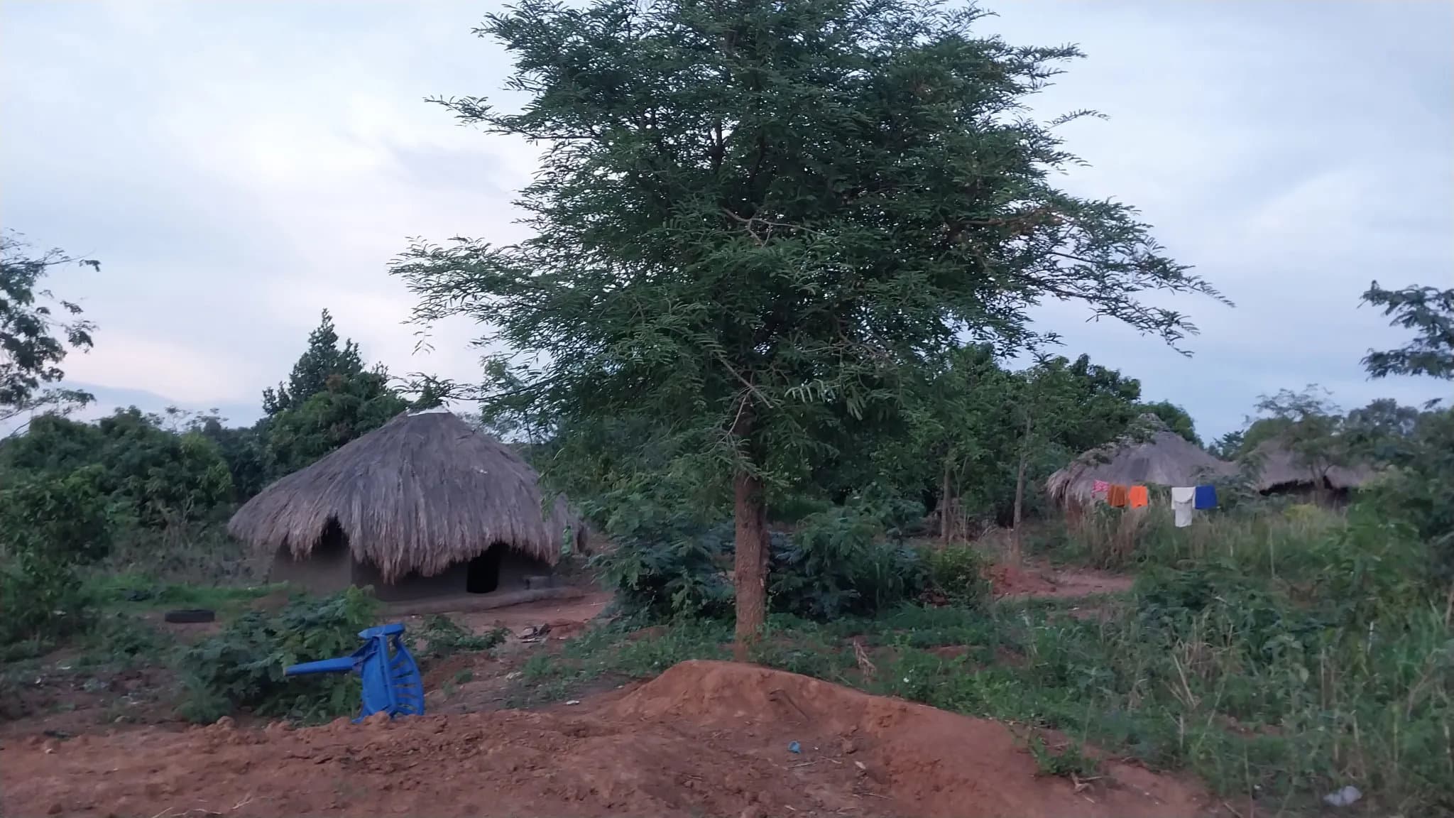 Biiso Community Home of Travelers (4)-1760968337719.webp