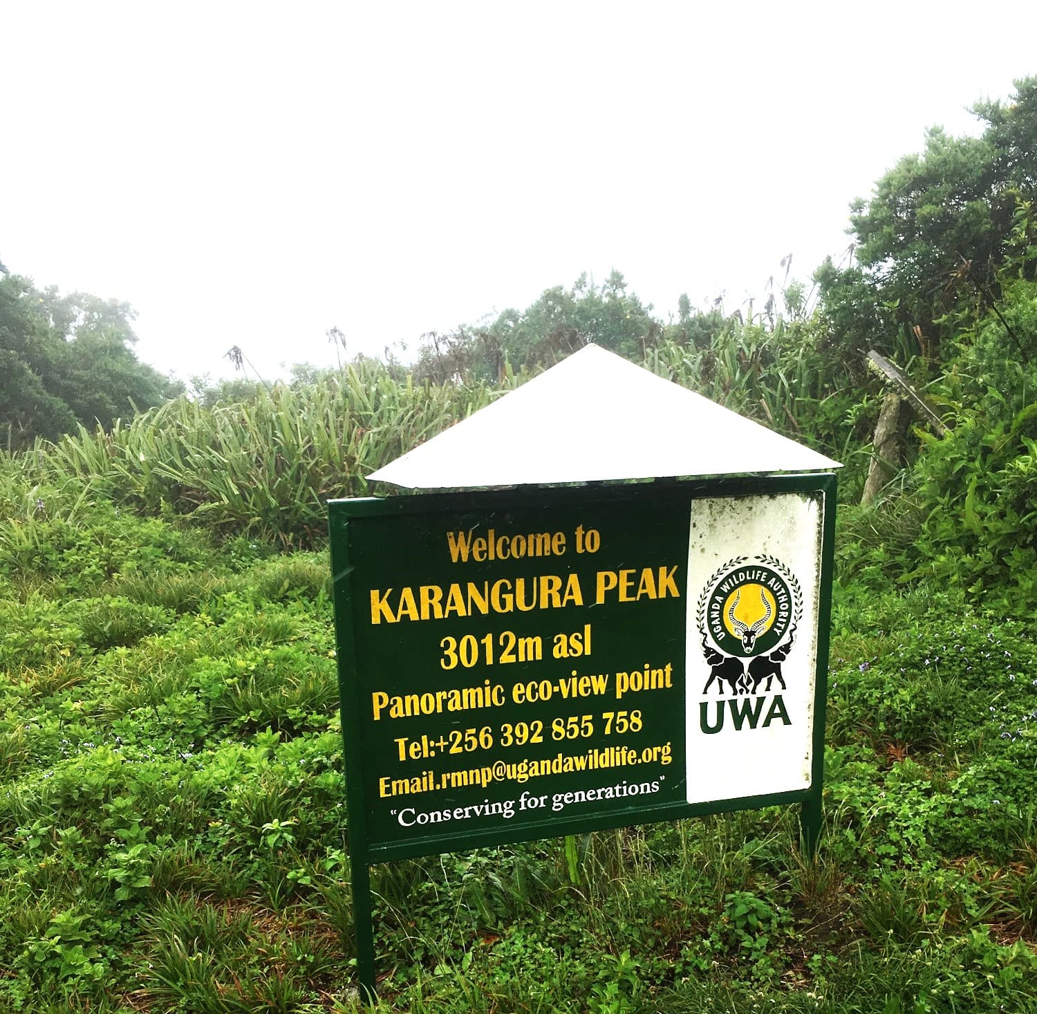 Karangura-Peak-Rwagimba-Uganda-TortoisePathcom-3-1775126725882.jpeg
