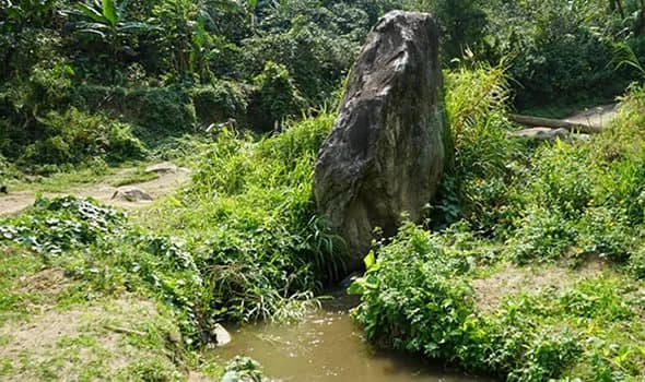 Karangura Eco-Camp in the Rwenzori Mountains Fort Portal (27)-1761389135788.webp