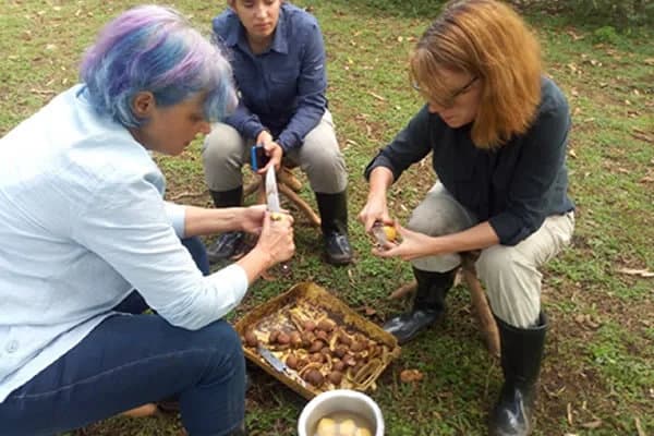 Karangura Eco-Camp in the Rwenzori Mountains Fort Portal (20)-1761389838263.webp