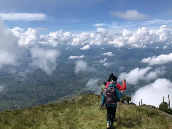 Hiking Mount Sabinyo and Muhabura from Kisoro Volcanic Coffee Farm Experience in Uganda (3)-1761400538918.webp