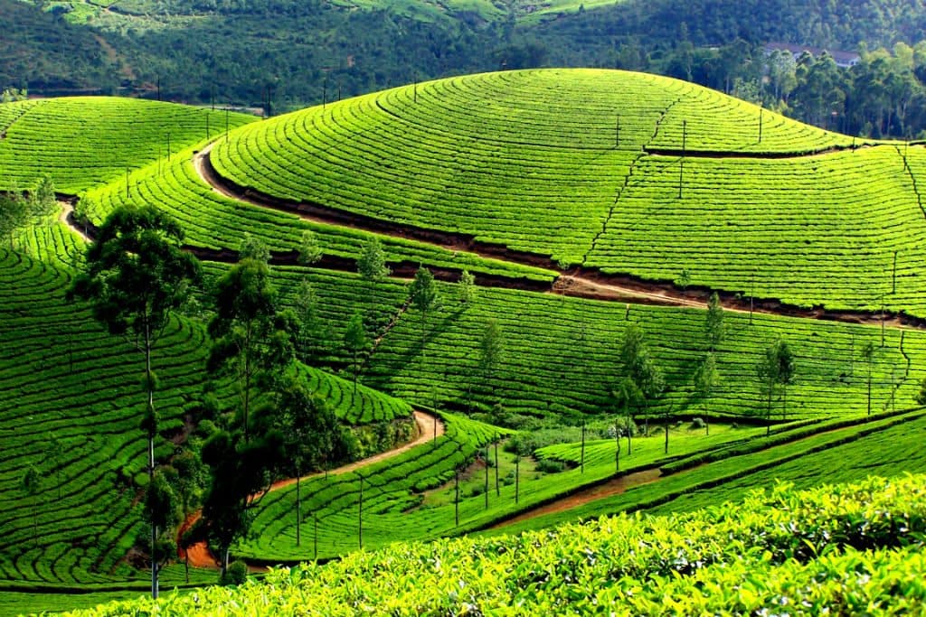 6 Day Queen Elizabeth Safari with Twin Lakes Community Adventure