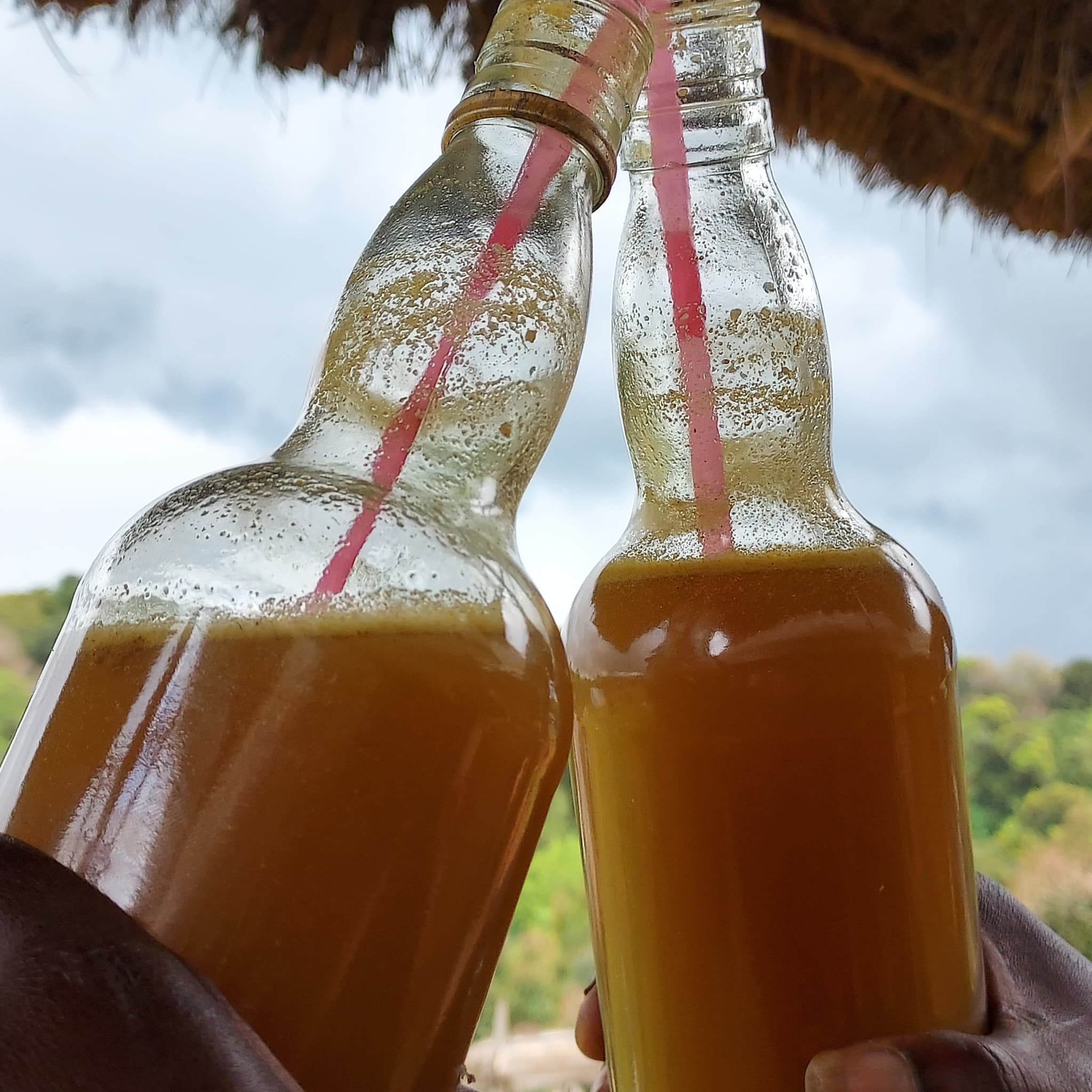 Elgon Honey Wine Experience