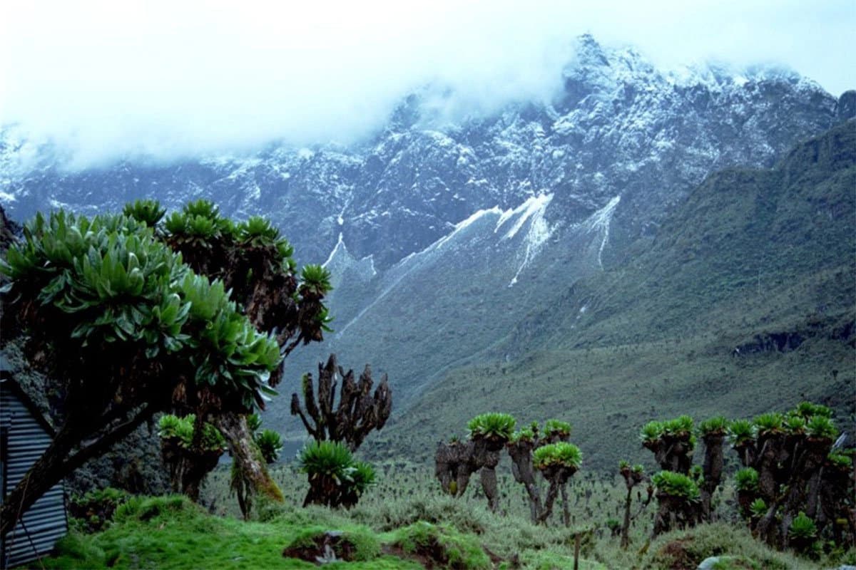 Rwenzori Escape with Ruboni Tourism Village (2)-1773990563545.webp