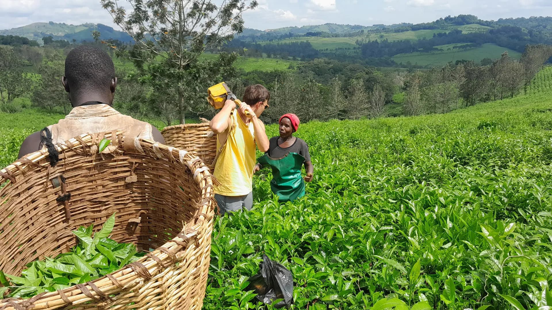 Tooro Royal Trail; A Journey of Heritage, Primates, and Community Resilience in Uganda (1)-1774359160529.webp