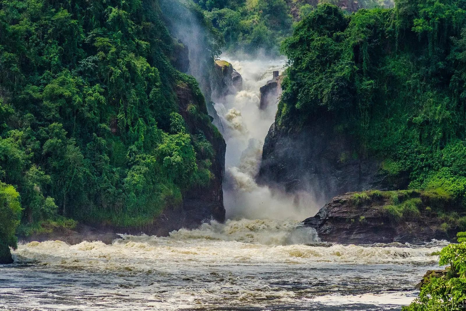 murchison-falls-1774965260864.webp