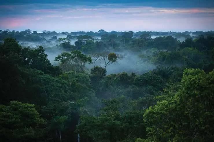 Community Based Tourism Experiences in Uganda with Kitara Foundation and Community Based Tourism Partners (7)-1774938494951.webp