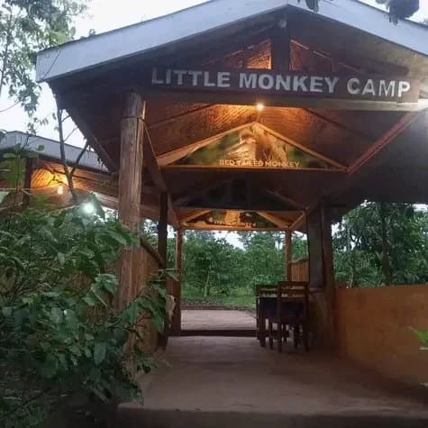 camp entry-1775490619347.webp