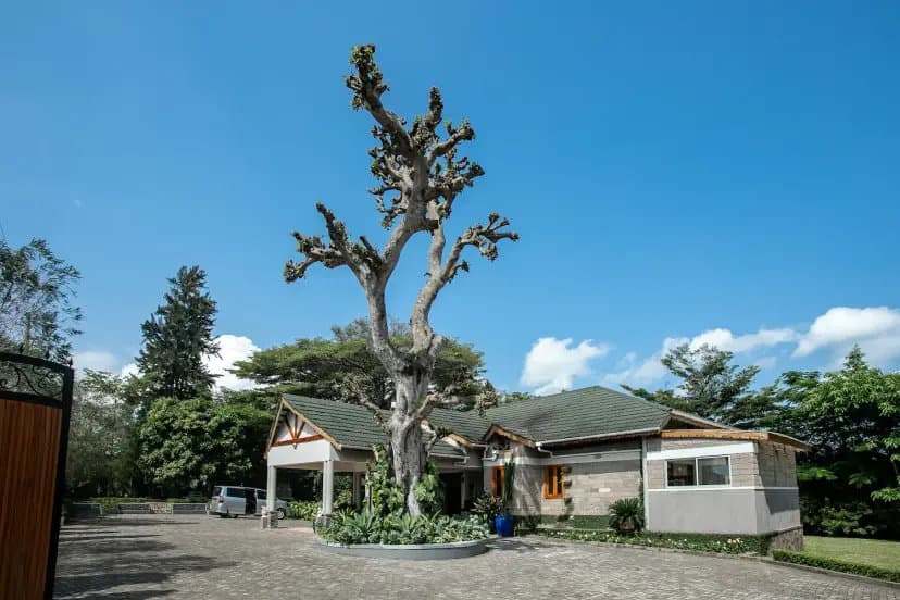 Ibanga The Ultimate Escape A Community Experience near Queen Elizabeth National Park (4)-1775198941117.webp