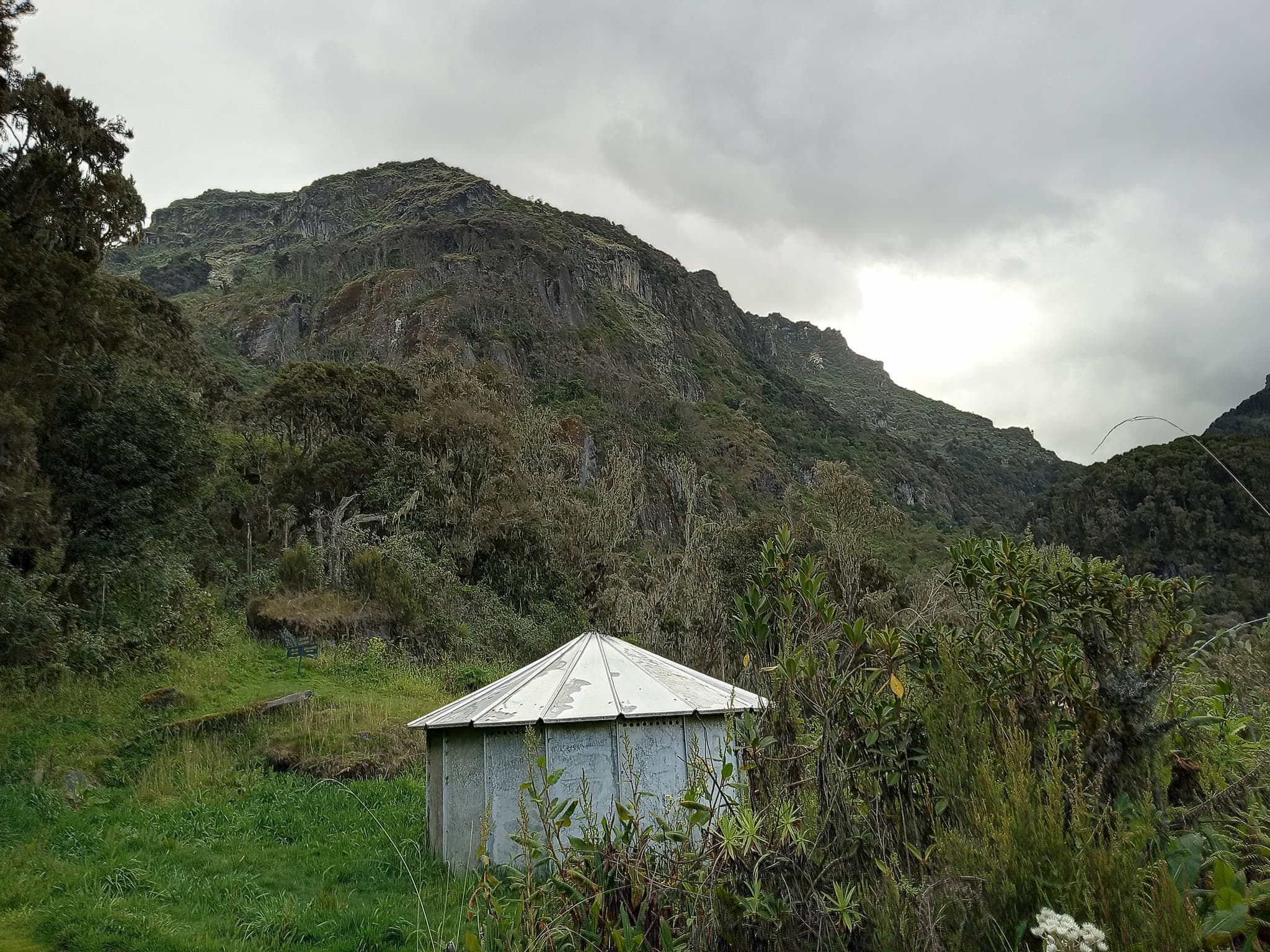 The Echo of the Ancient Peaks: The Lake Mahoma Overnight Trek in Rwenzori Mountains