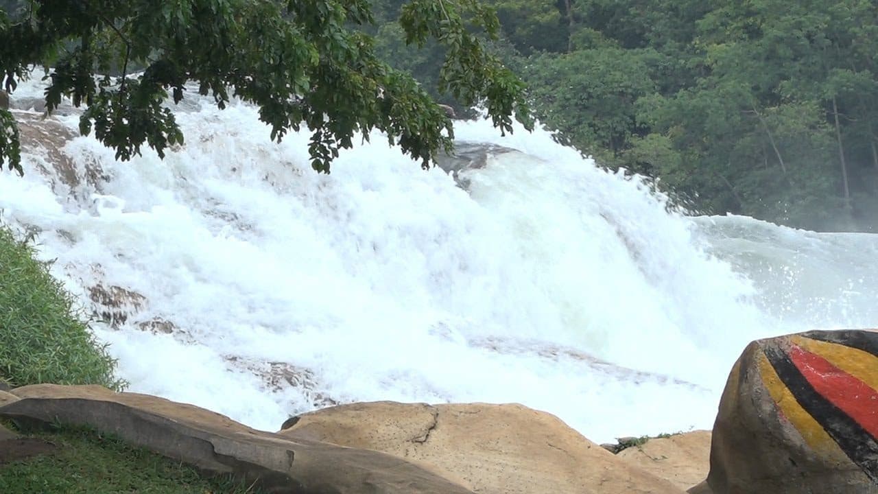 Ancestral-Waters-Living-Traditions-A-6-Day-Cultural-Immersion-in-Busoga-and-Entebbe-7--1781773798846.jpg