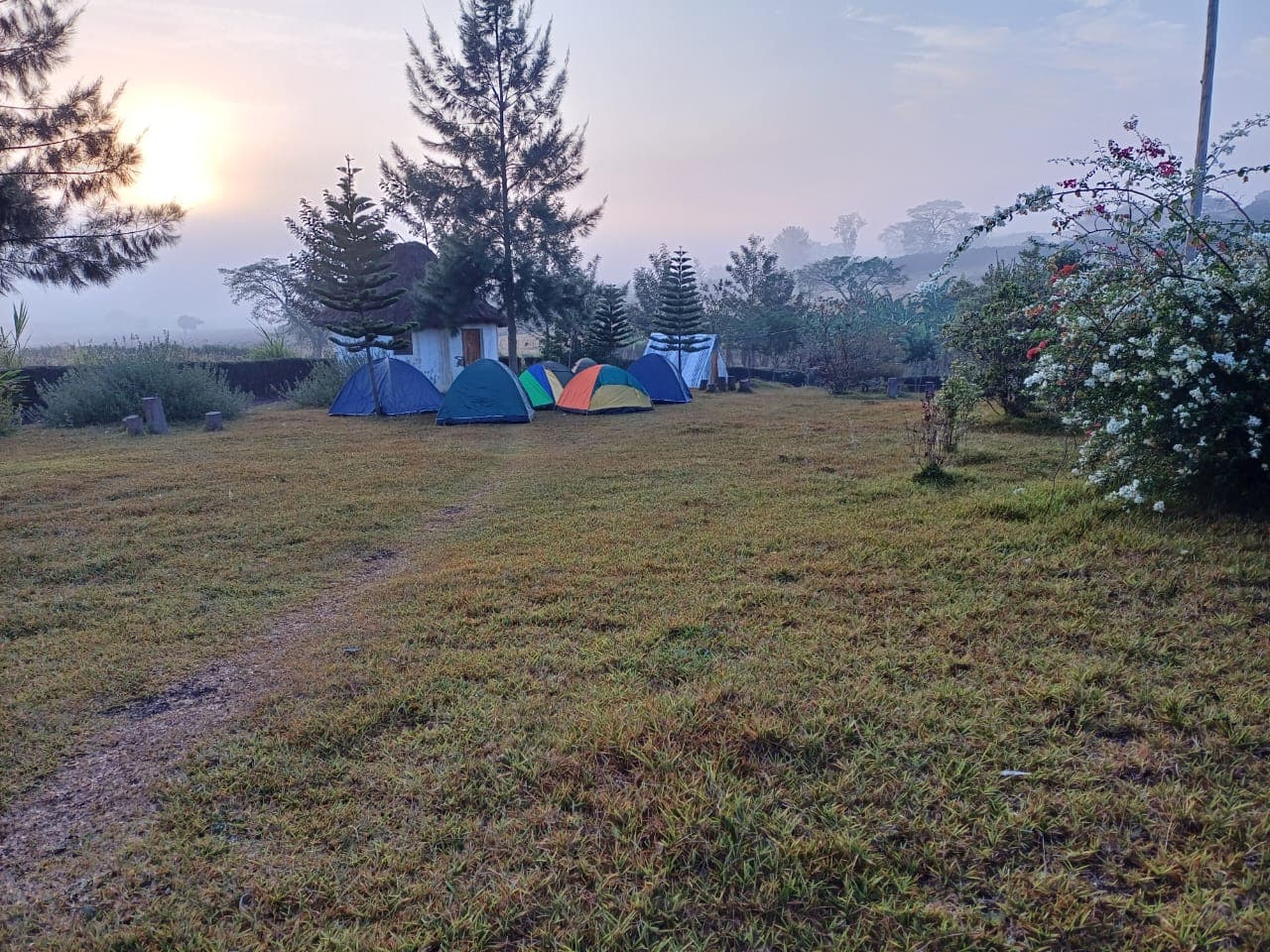 campsite-real1-1783450076694.jpg