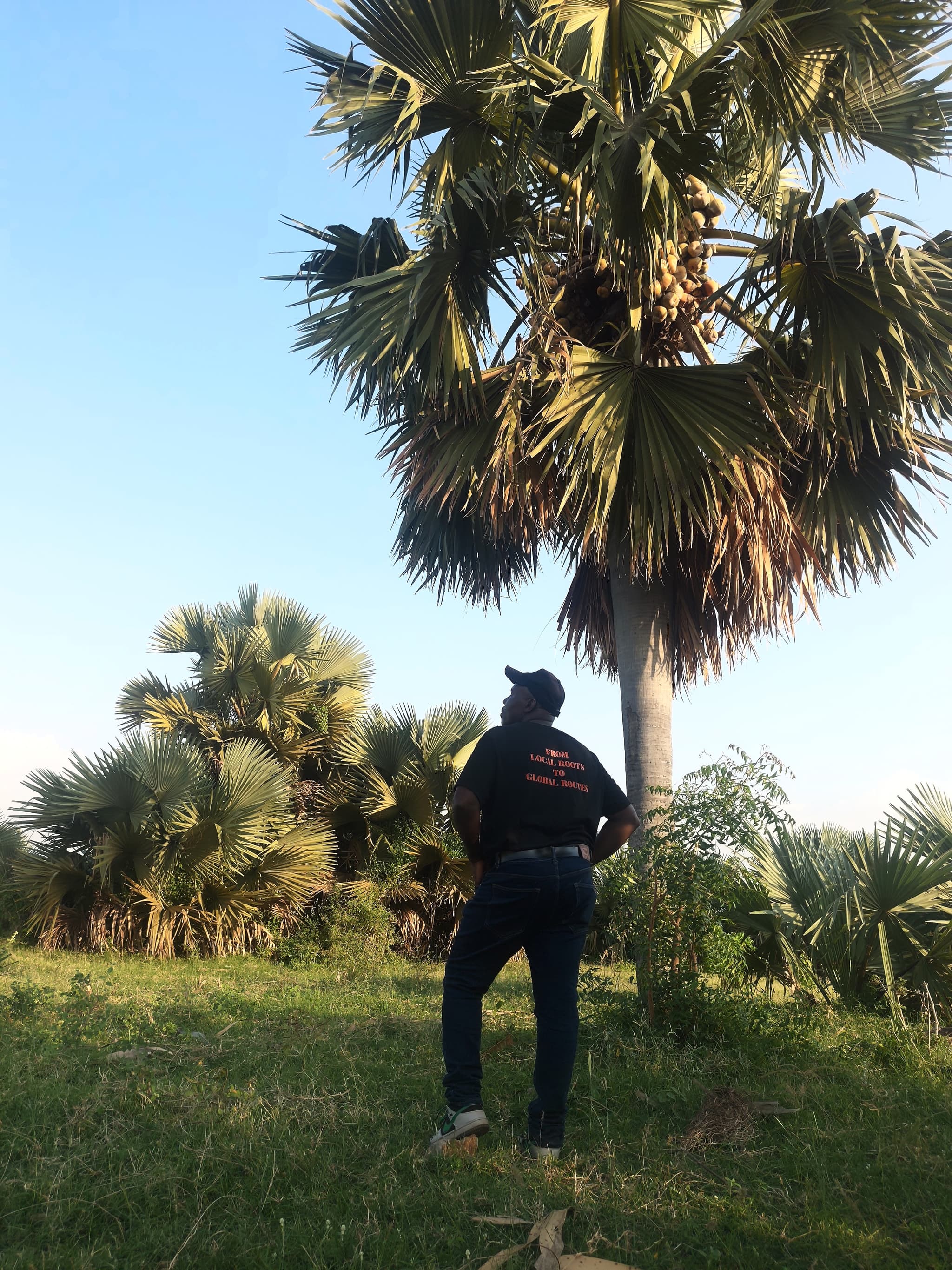 The-Borassus-Palm-Experience-in-Uganda-12--1789391091004.jpg