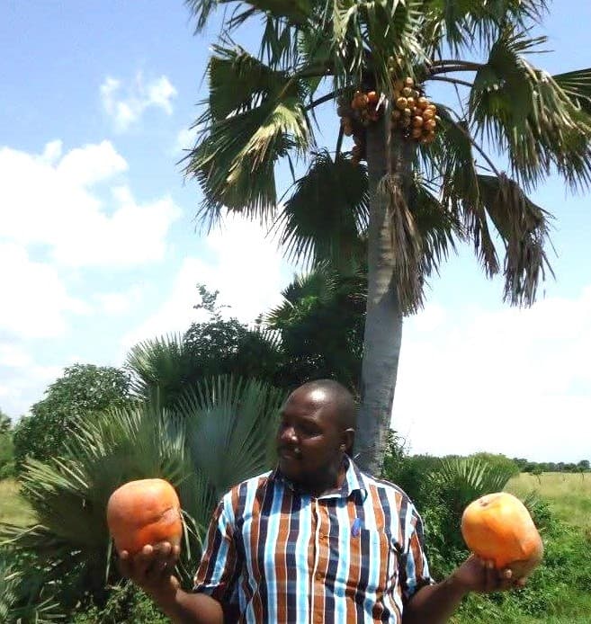 The-Borassus-Palm-Experience-in-Uganda-13--1789391091004.jpg