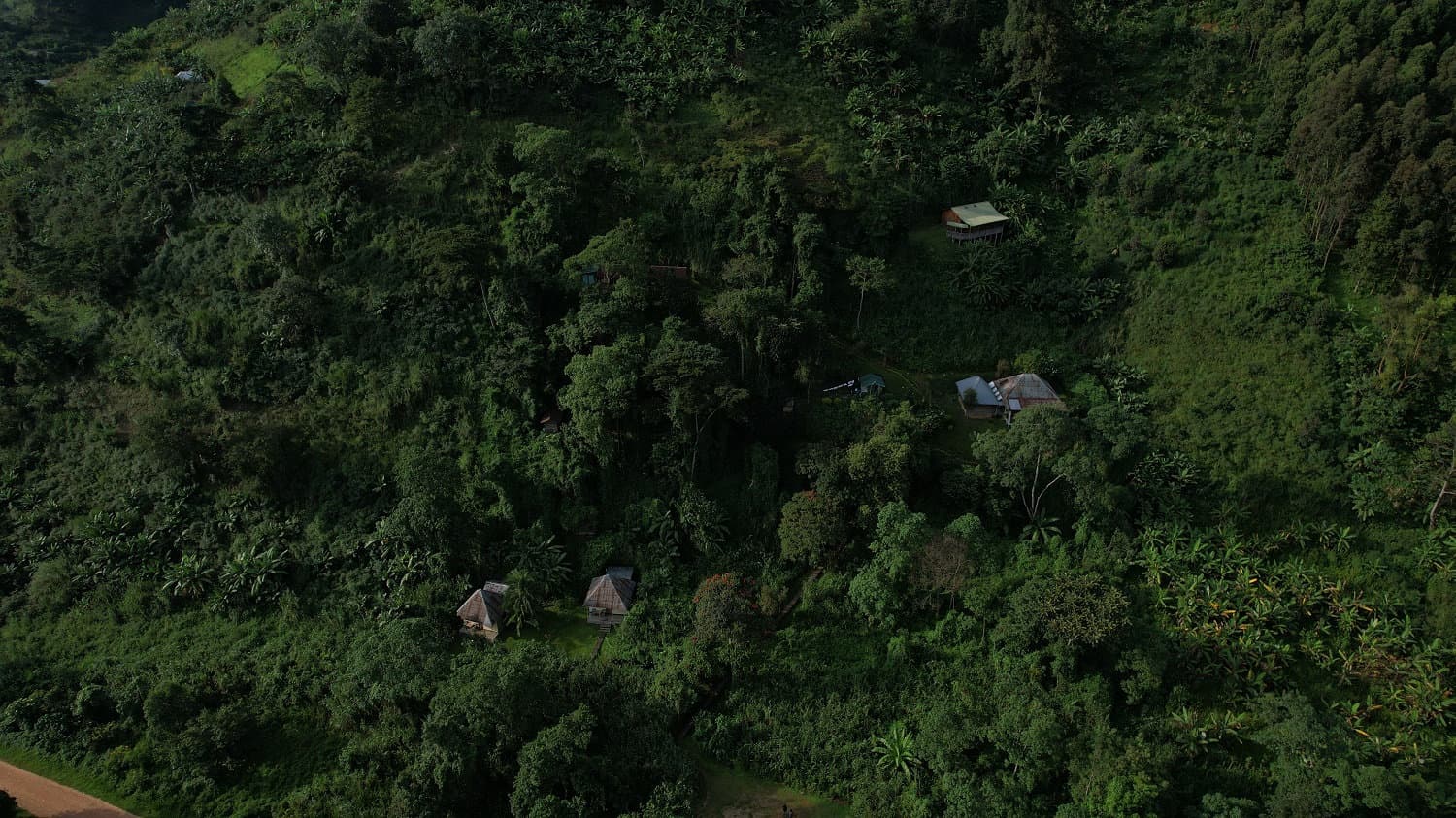 3-Day Ruboni Cultural Village & Rwenzori Adventure