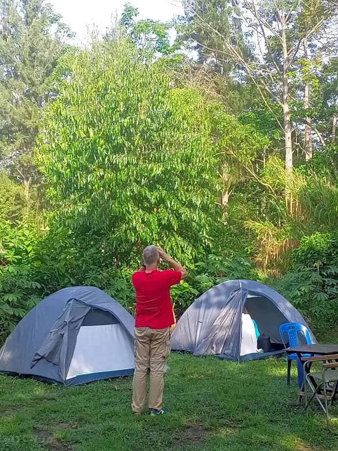 The Little Monkey Camp Bigodi (2)-1760818574689.webp