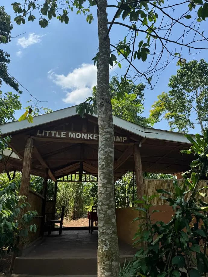 moneky camp-1758120388063.webp